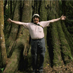 Old growth trees! WOW!  So amazing!